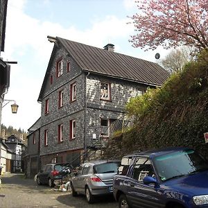 Hallerblick